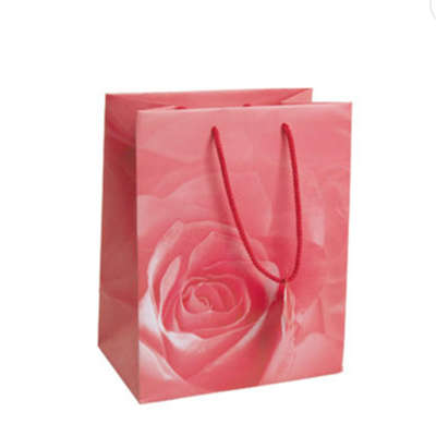 Colorful Shopping Paper Bags