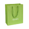 Custom Shopping Paper Bag with Handle