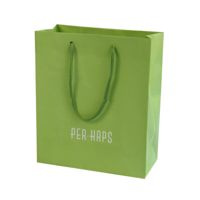 Custom Shopping Paper Bag with Handle