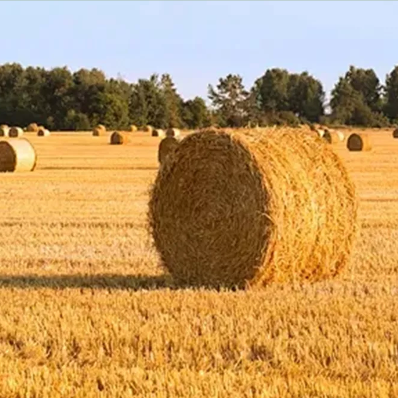 Straw