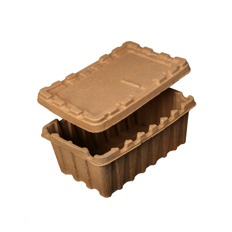Biodegradable Packaging Pulp