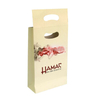 Custom Party Paper Bags with Handle