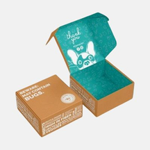 Custom Kraft Printed Mailer Box
