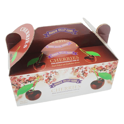 Custom Printed Gable Food Packaging Boxes